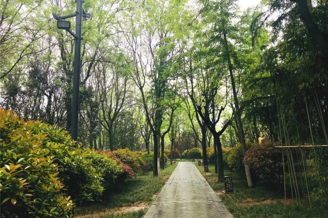 夏天，用9条夜跑线路打卡西安