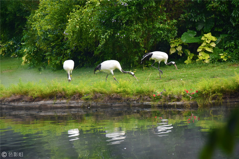三天三夜欢乐长隆之旅（附攻略）