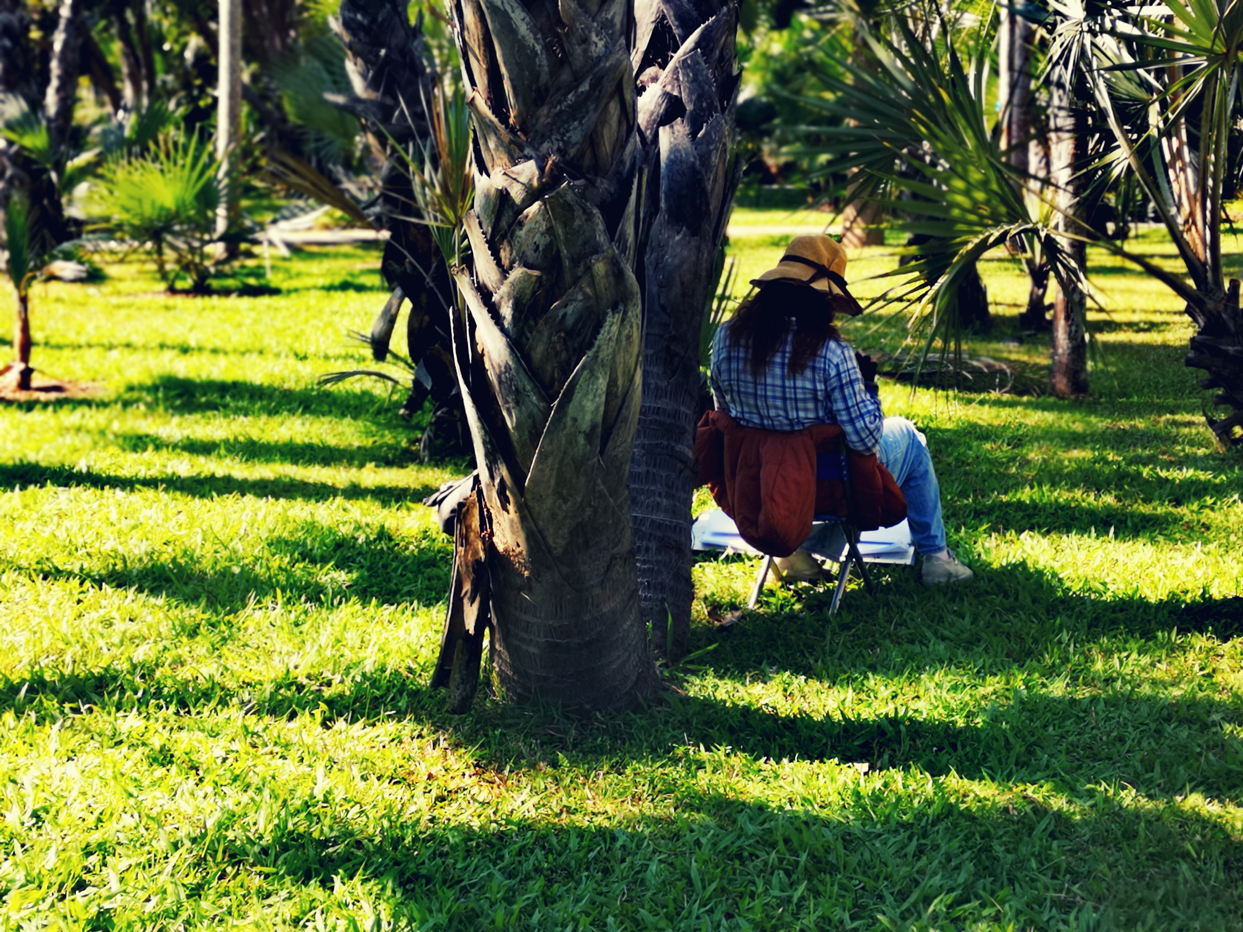 西双版纳8天9晚2600元，中科院热带植物园最详细攻略看这一篇就够