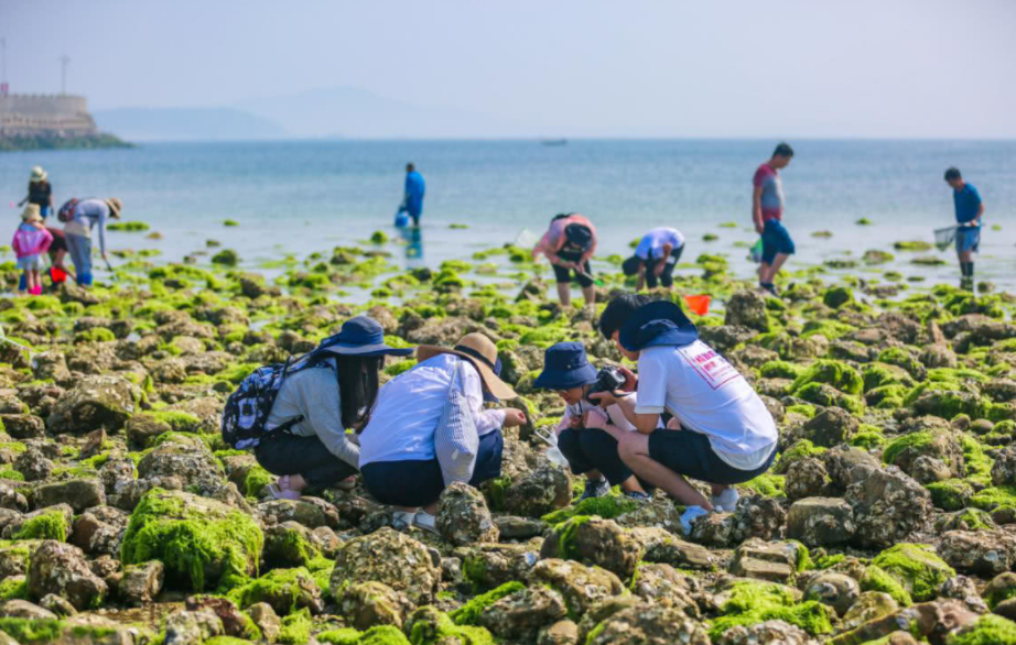江西一女学生寝室大型内卷现场，偷锁室友眼镜，堪称宫斗大戏