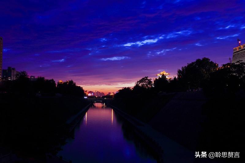 夏夜虫鸣，寂寞长夜里的孤独清吟