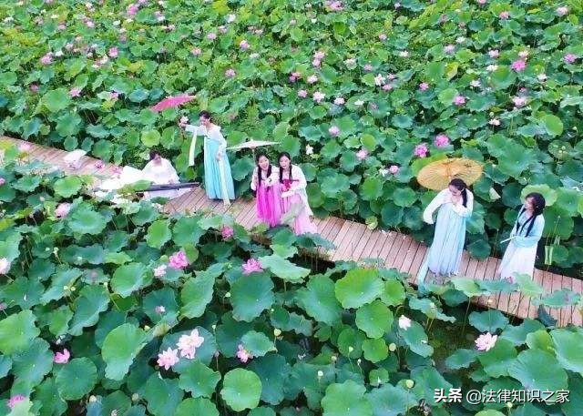 四大诗人分别是谁（分享宋朝时期的4大诗人）