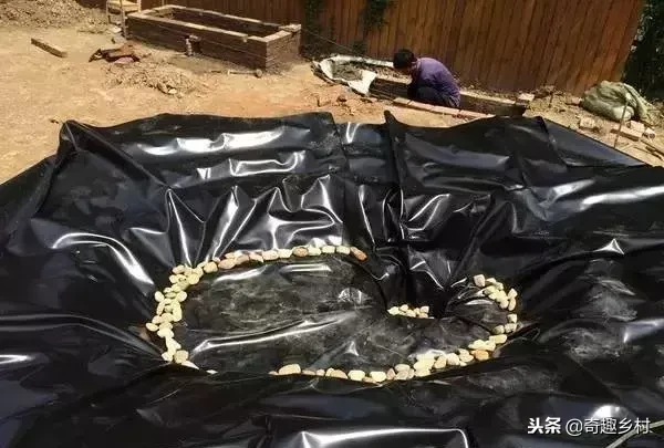 院子里应该有个小池塘，没有就自己动手挖个！（附实际操作图）