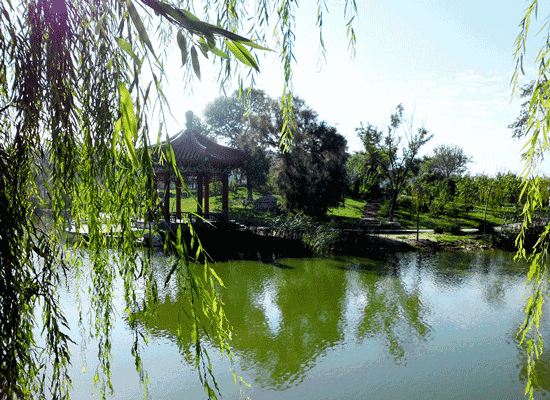 快来向水学习！