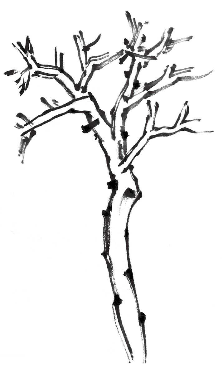 零基础国画教程:分步骤图解教你画丛树,学会这些,画丛树很简单
