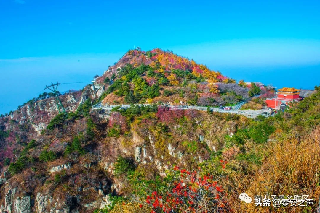 深秋泰山：一年好景君须记，最是橙黄橘绿时