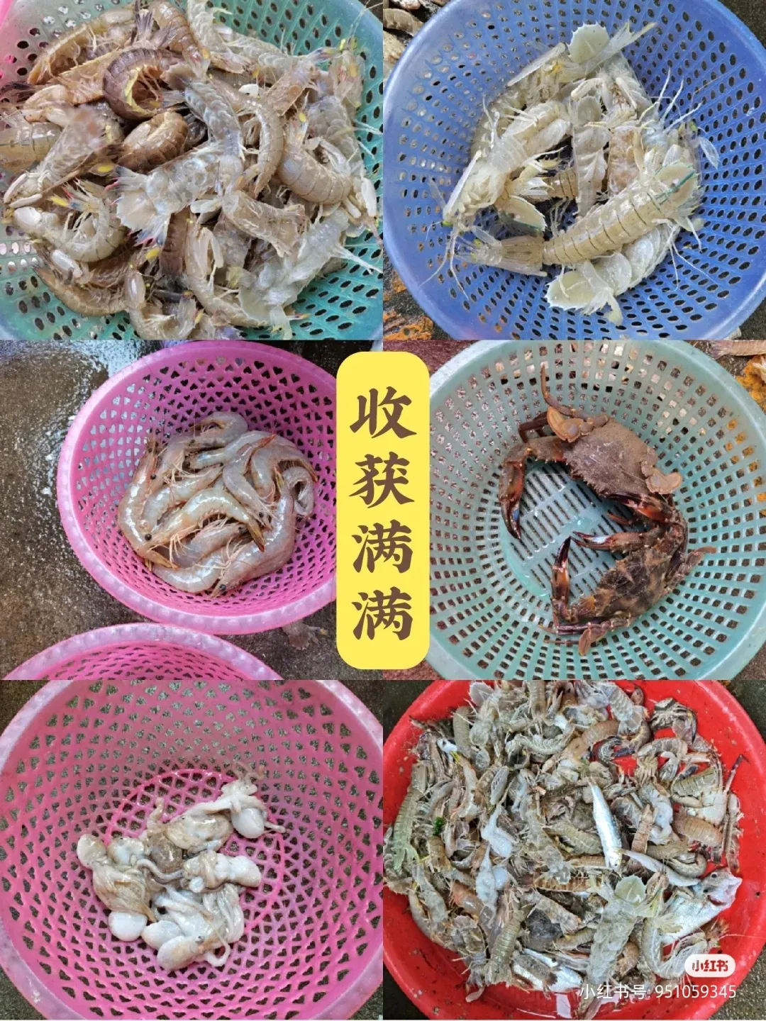 枸杞岛旅游攻略(枸杞岛旅游攻略自驾) 枸杞岛旅游攻略(枸杞岛旅游攻略自驾)