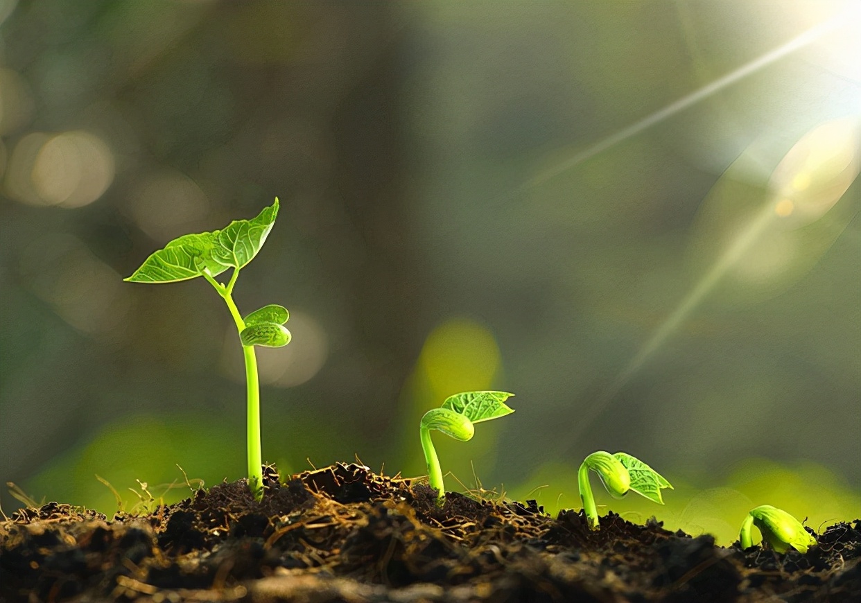 高考前夕（高三美女学霸戴宇菁）