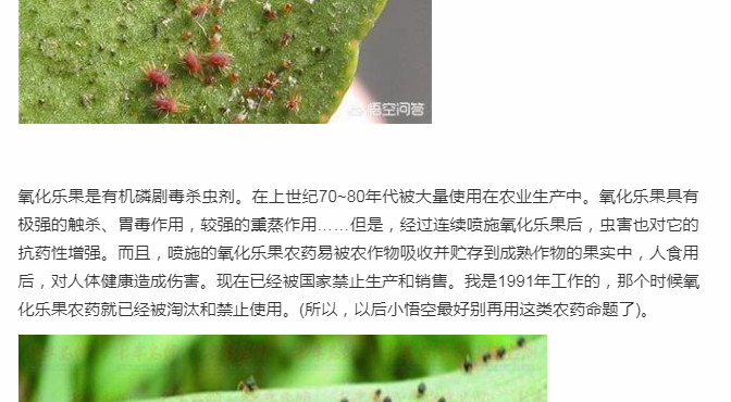 家庭养花中农药的使用？你有没有注意思考过这些问题？值得深思！