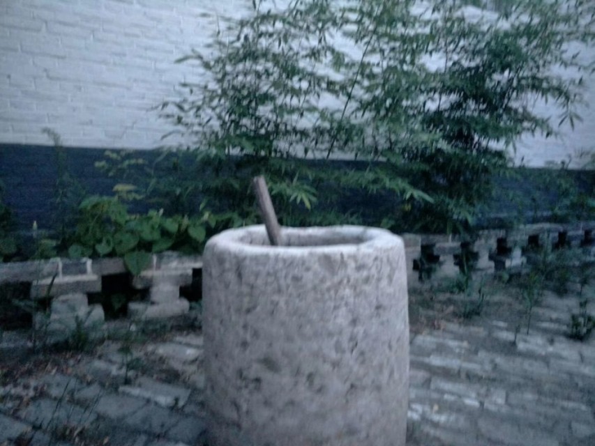 年轮跌更，脆灵的枣树老了；风霜雨雪，坐在枣树下的妈妈也老了