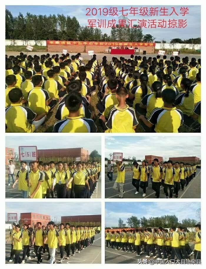 临泉县杨小街中心校2020中考喜报