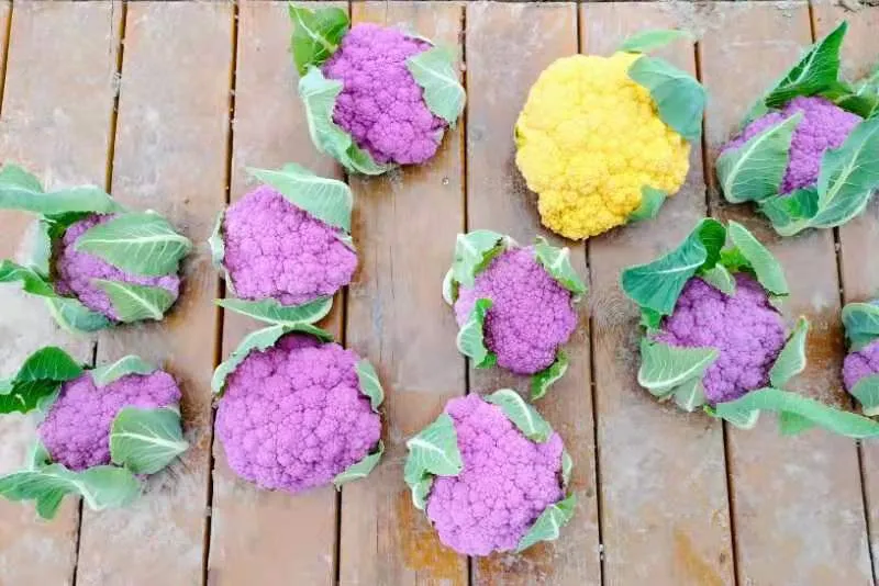 中国农业大学信息与电气工程学院（你是不是给老天爷打电话了）