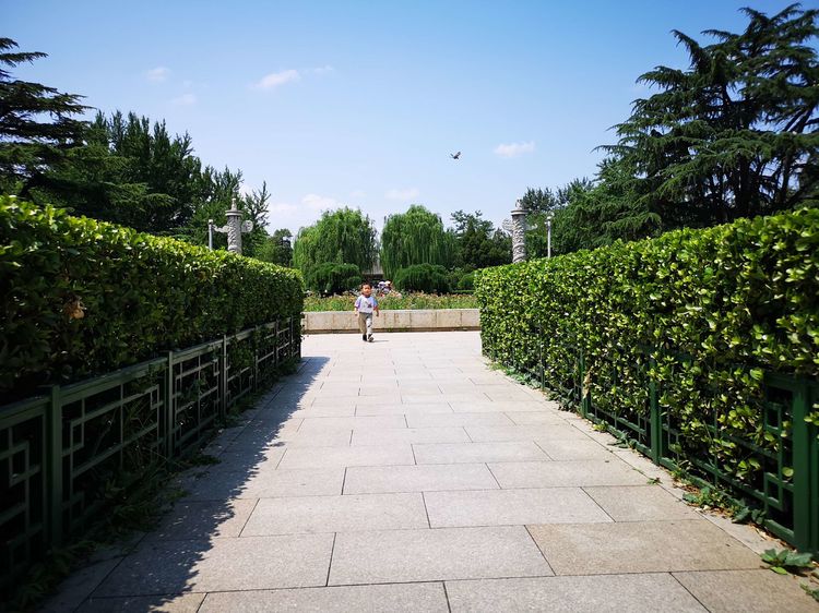 北大印象，漫步北大校园