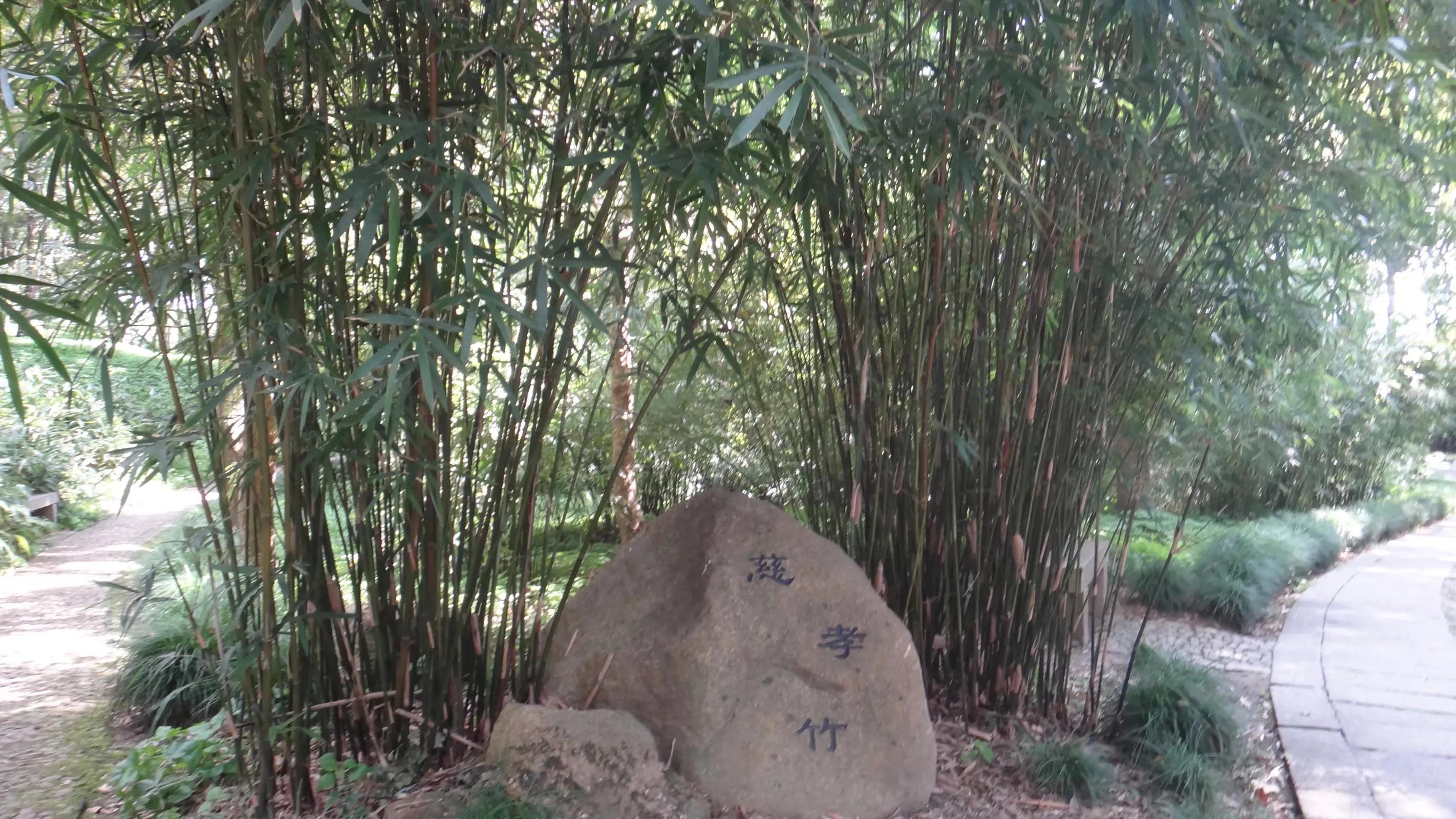 苏州的山之虎丘山
