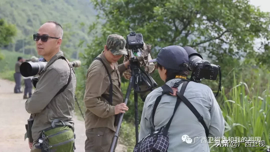为造地雷浑身是伤，俘虏级别最高国民党将领……他们都是解放广西的英雄