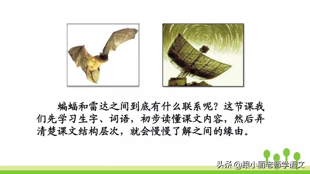 蝙蝠和雷达的名人名言