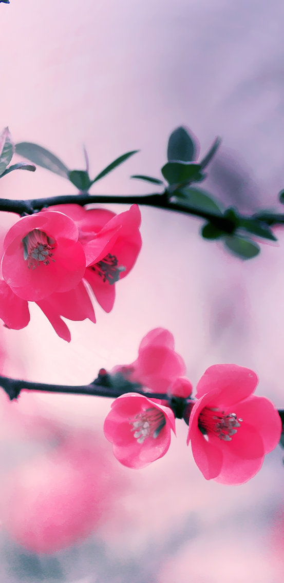 跟着高考状元学五步学习法，再也不用操心孩子的学习