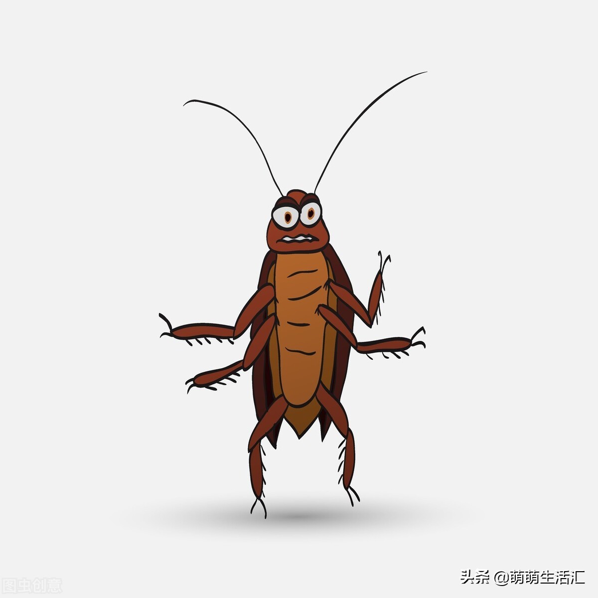 家里有好多蟑螂怎么办，两个办法轻松解决