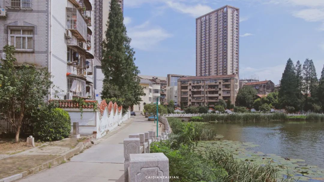 情人桥、城南路、二小巷子、蔡正街等地方，勾起你多少回忆？