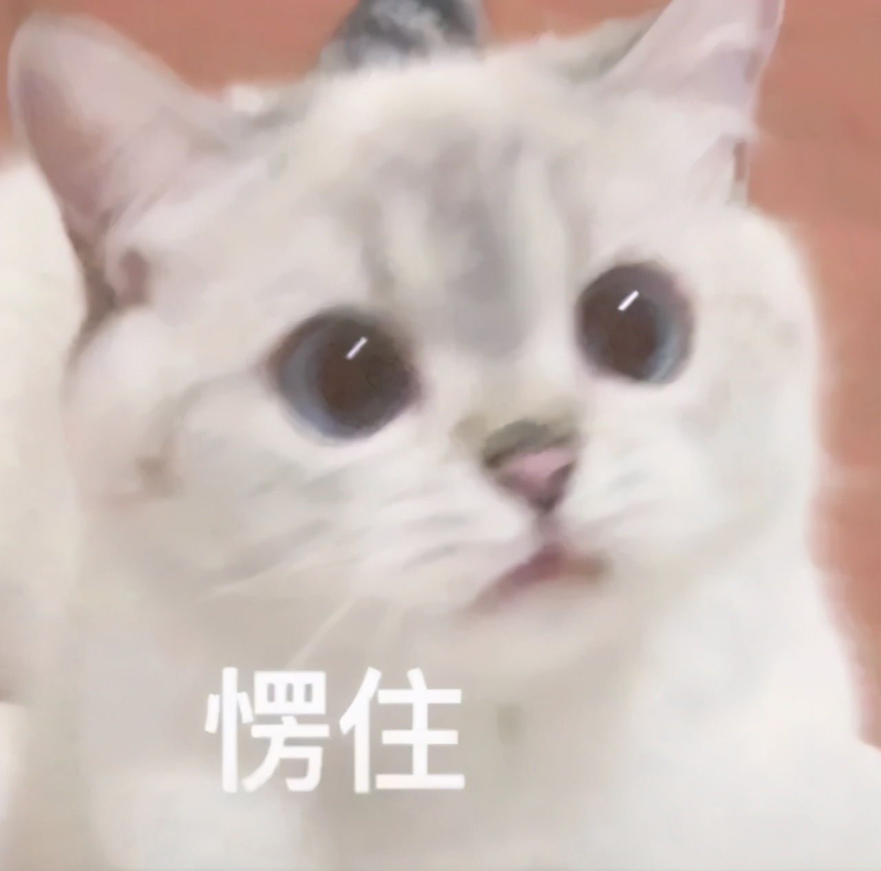 yyds, nbcs, xswl 都是什么意思？00后“网络黑话”你认识几个？