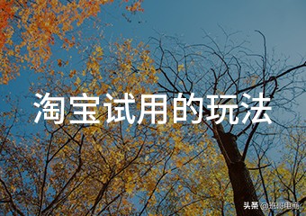 淘宝试用的玩法