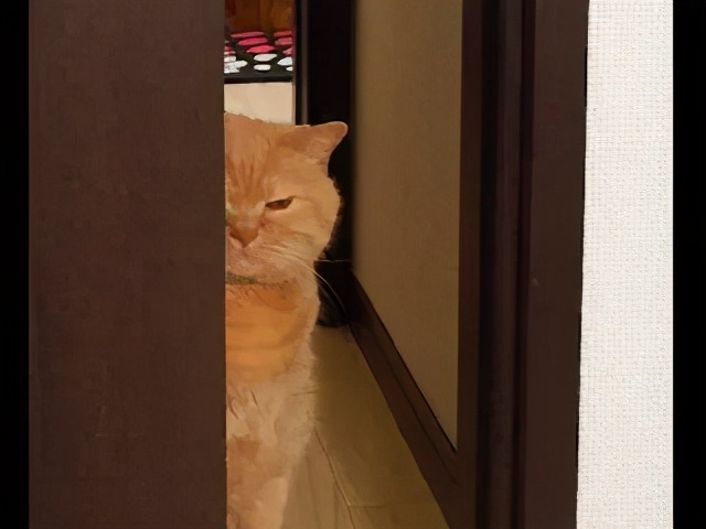 准大一来看！高考后的三个月暑假我要做的那些事(一)