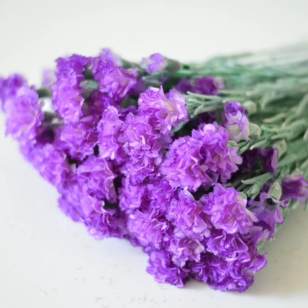 有斑纹的:拒绝,我不能和你在一起有条纹的:对不起康乃馨有那么多砸忖