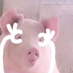 如何在线评价淘宝店铺购物体验