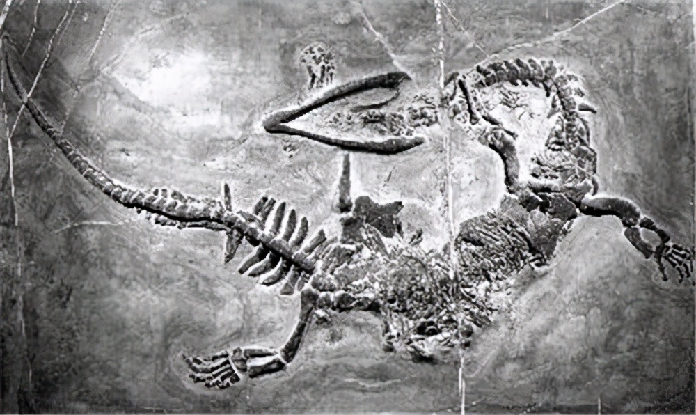 70年前天降巨龙 事件(公元920年，辽太祖耶律阿保机射杀的“黑龙”，到底是什么？)