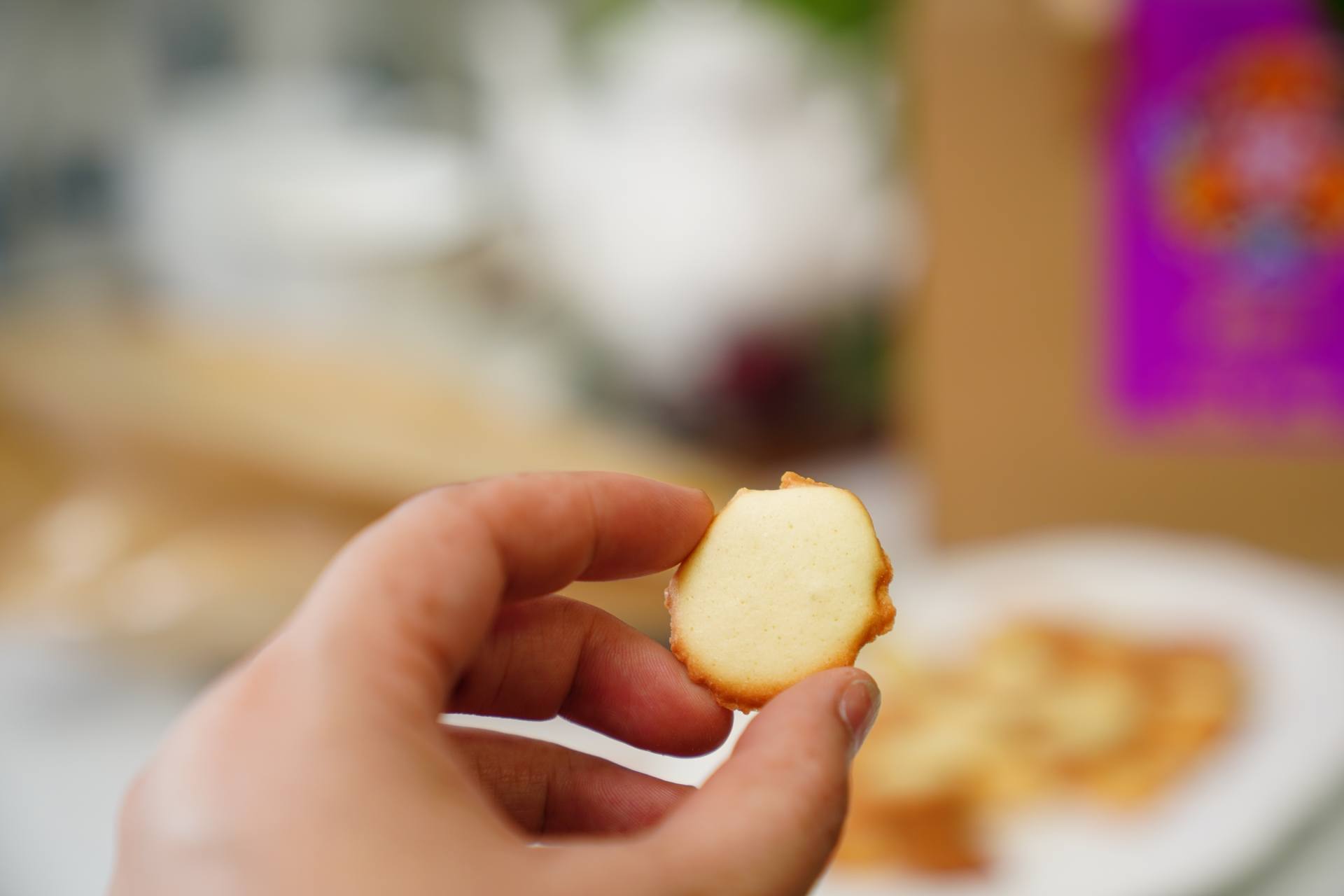 糕点吃到顶，告诉你东北老鼎丰哪种糕点最好吃