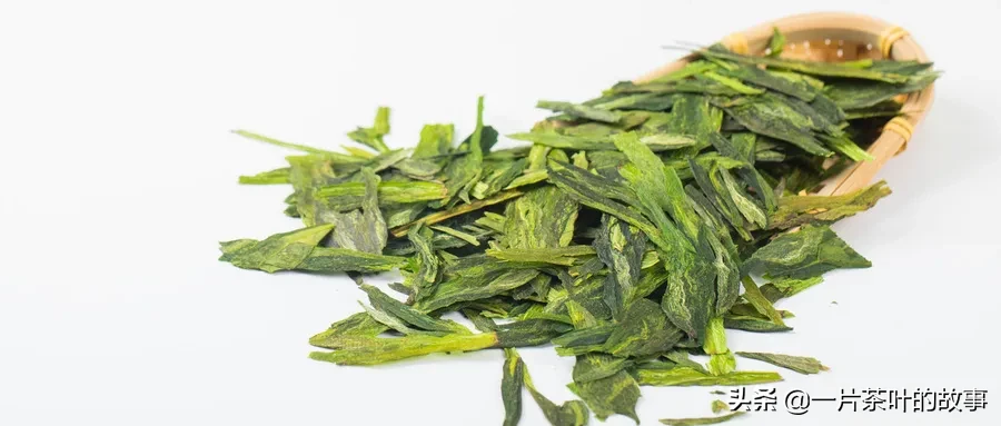 十大名优绿茶背后的传说，你知道几个？