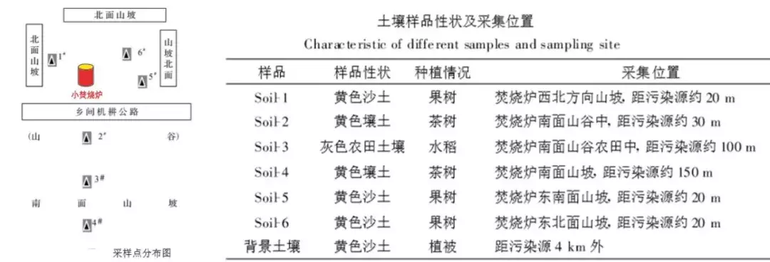 农村小焚烧炉排放多少二恶英？
