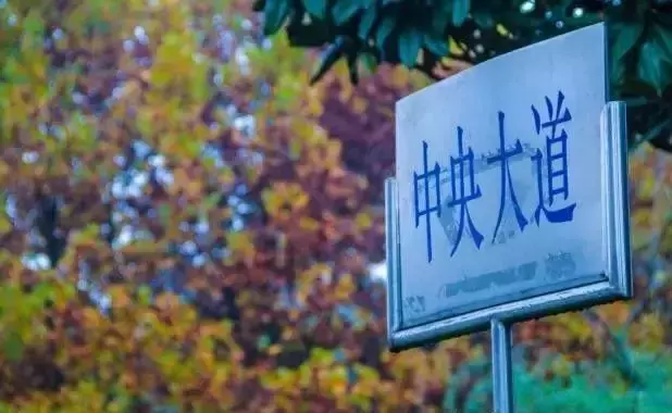 【热点】六月，你毕业于江北新区