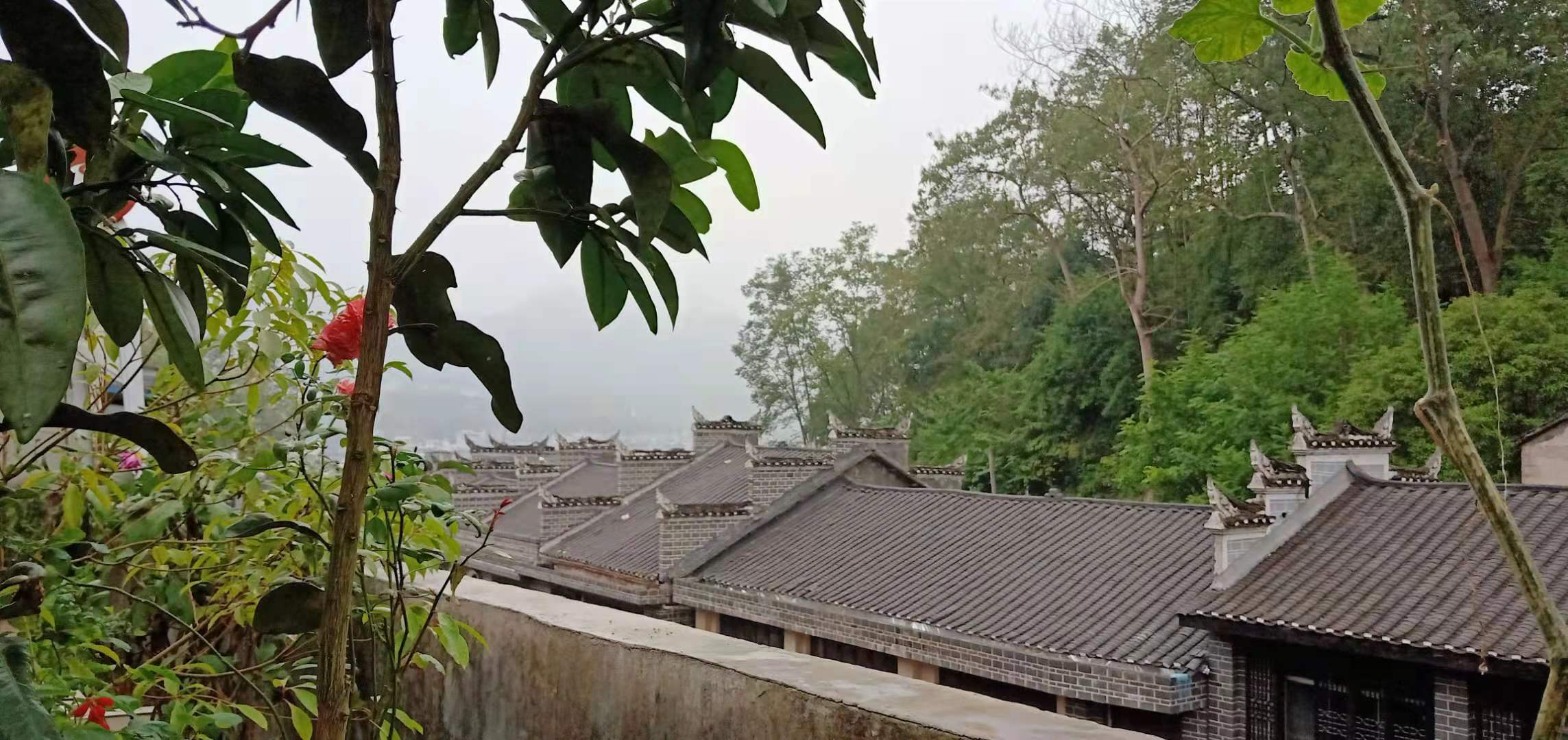 七绝 雾雨染秋