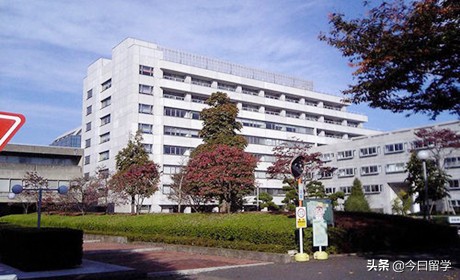 日本留学有哪些艺术学校？