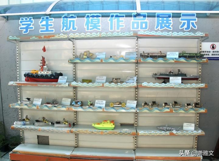 让每个学生都成为最好的自己“阳光”特色教育尽显风采