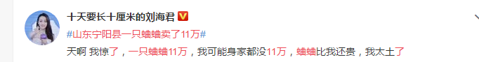 一只蛐蛐卖11万，蛐蛐大赛奖金100万！这些年，竟错过亿万家产