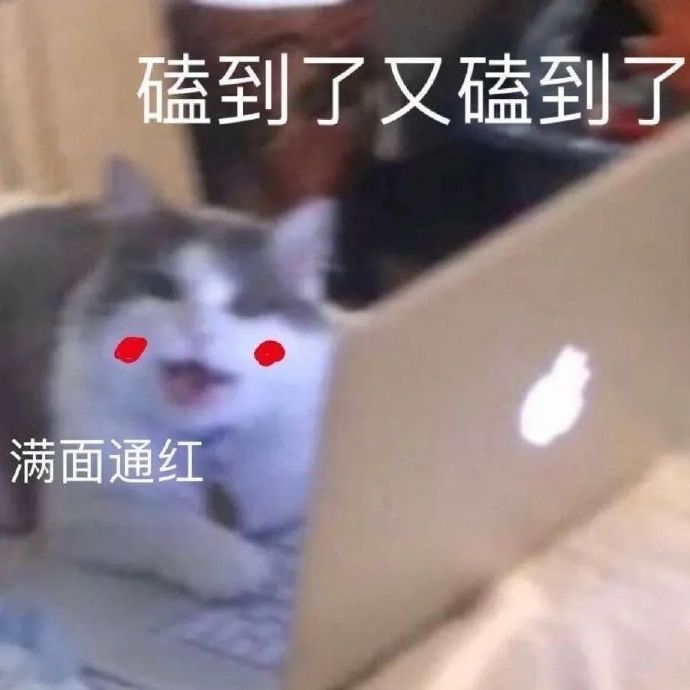 猫猫表情包合集｜你是猪头吗？