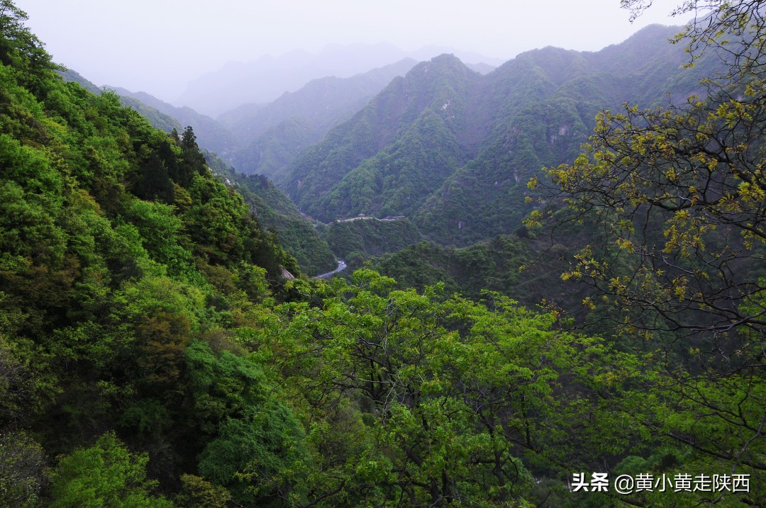 西安人最喜愛的秦嶺避暑小鎮,青山綠水美食多,往返不走回頭路 第12張