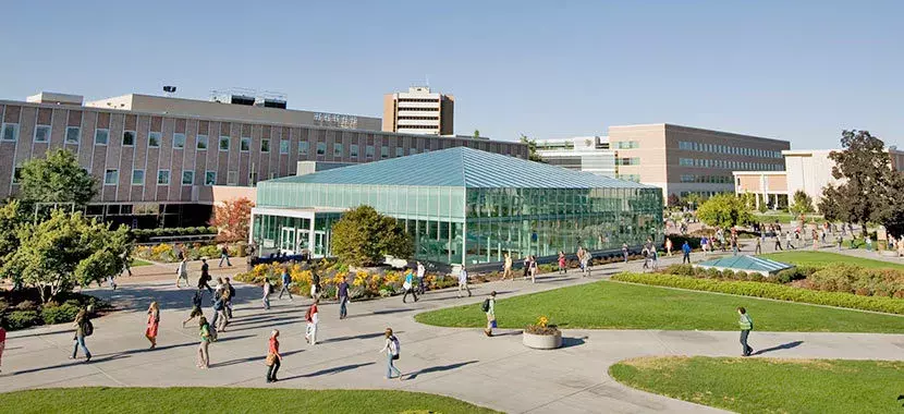 如何确定美国大学的安全性?(附美国最安全的大学Top25榜单)