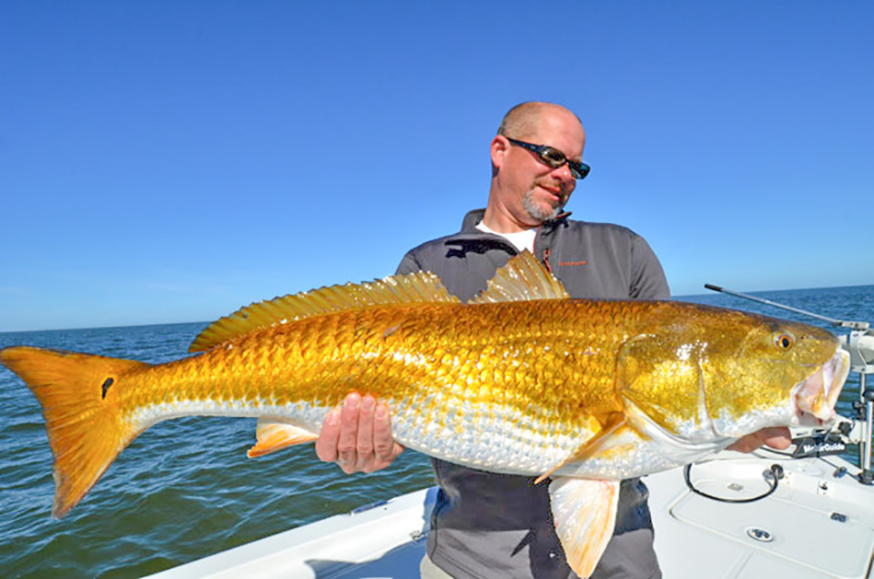 紅魚(yú),紅魚(yú)怎么做好吃又簡(jiǎn)單