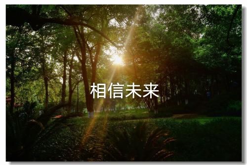 诗歌《相信未来》的内涵探析和朗诵建议