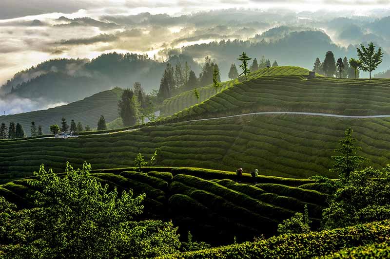 中考优质作文素材：写景感悟类