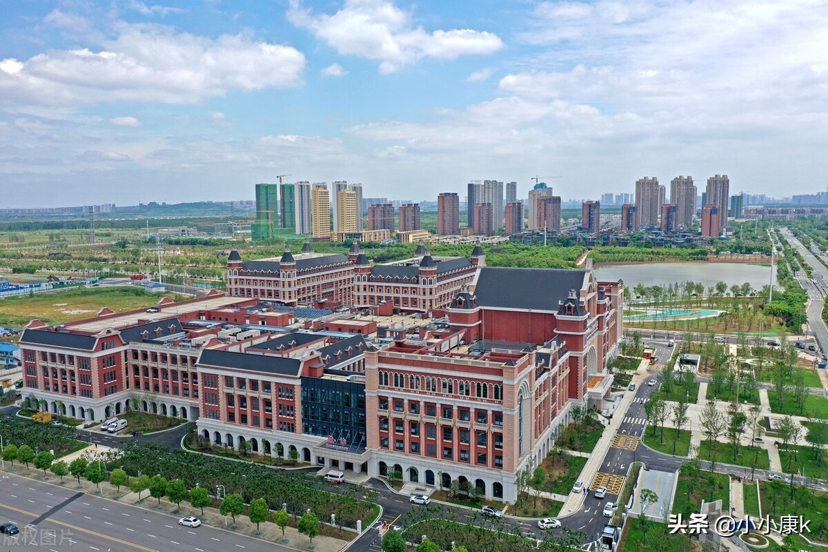 2021全国和各省医药类大学排名