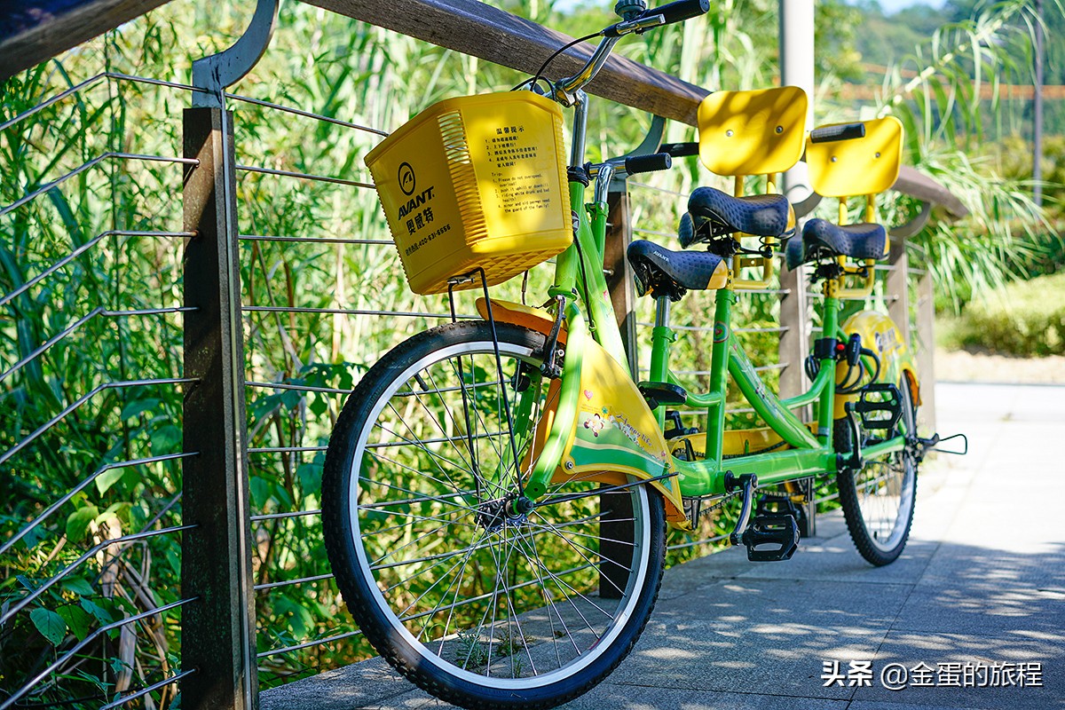 千岛湖在哪里个城市（中国最大的人工湖5A级风景区）