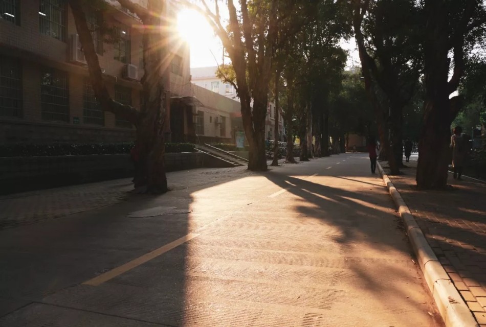 一分钟带你了解广西大学