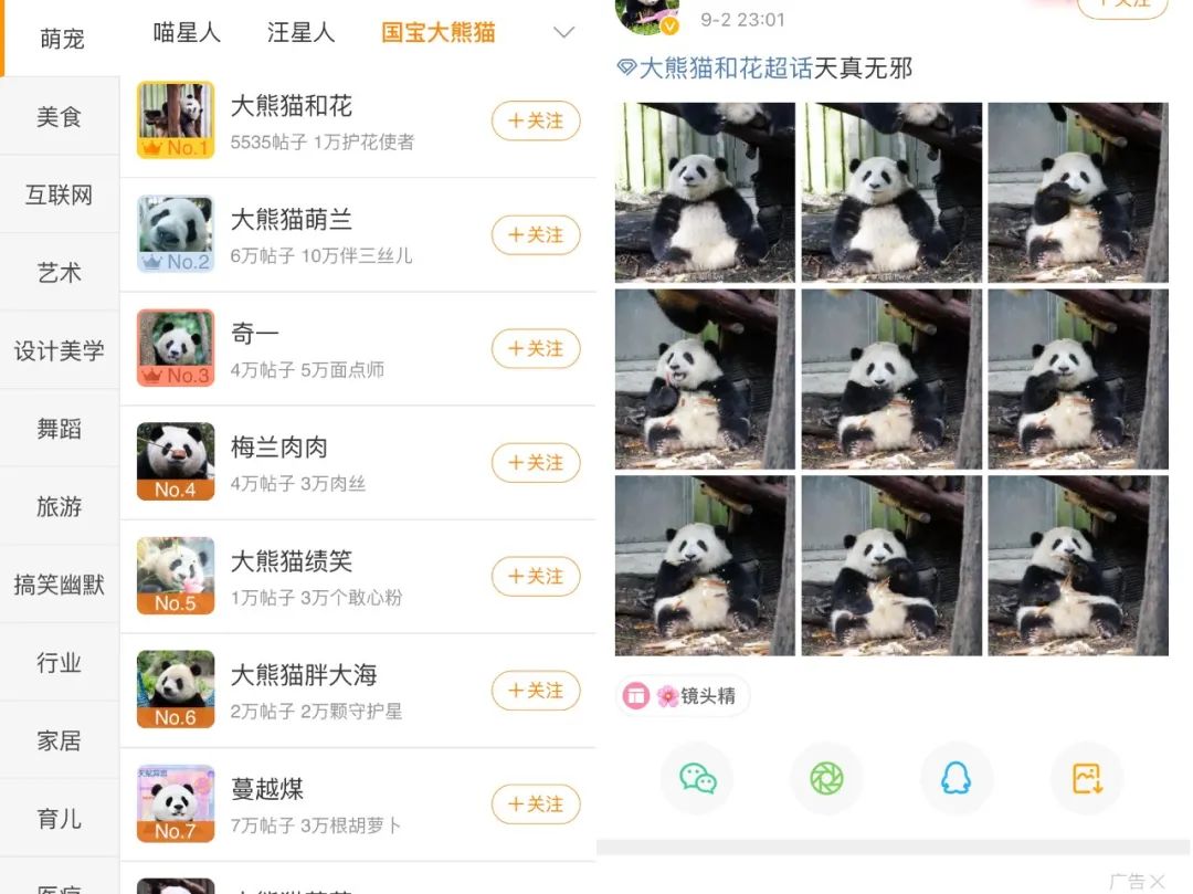真香的熊猫IP，能在动物园之外造出新文化吗？