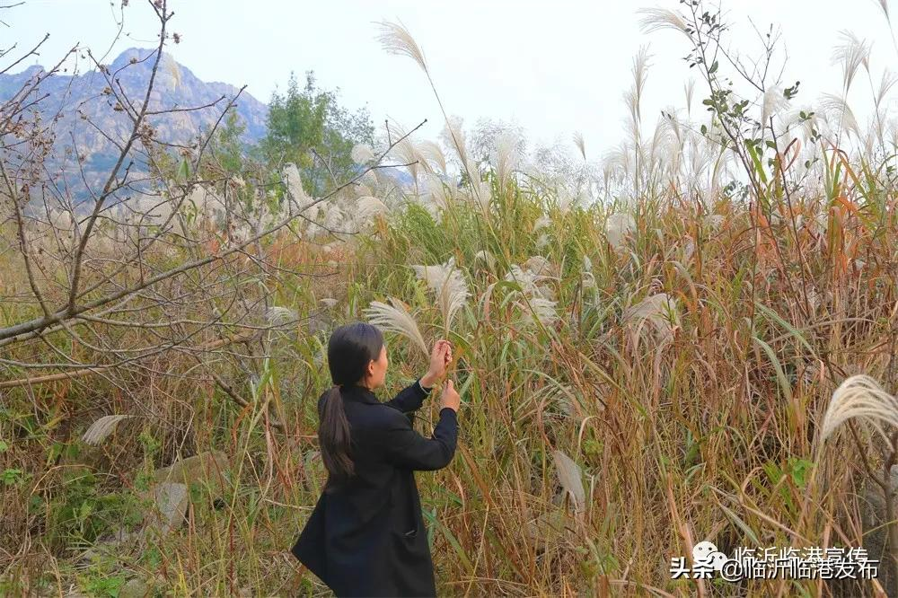 醉美大山空，与初冬的邂逅！