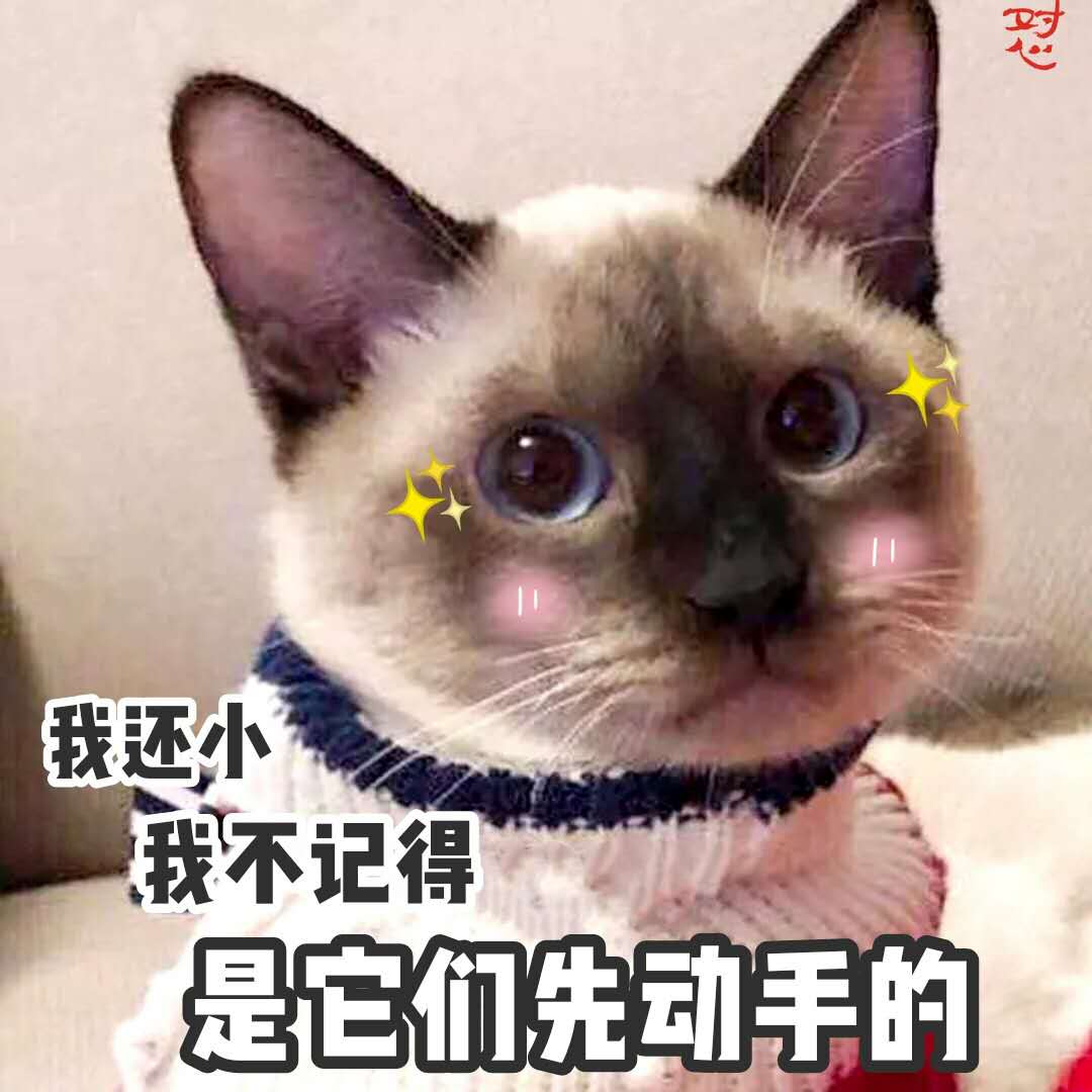 表情包：是她先动的手