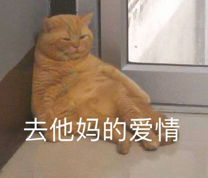 猫咪表情包合集｜我心爱的狗东西在吗？